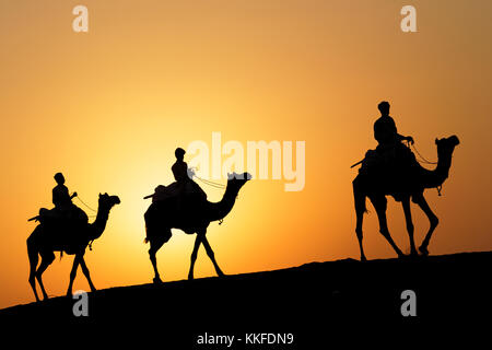 JAISALMER, INDE, le 2 novembre 2017 : Caravane de chameaux au coucher du soleil dans le désert de sable. Plusieurs safaris dans le désert sont organisées pour les touristes par l Banque D'Images