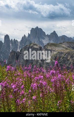 Cadini Group, Parc national Drei Zinnen, Dolomites, Tyrol du Sud, Italie Banque D'Images