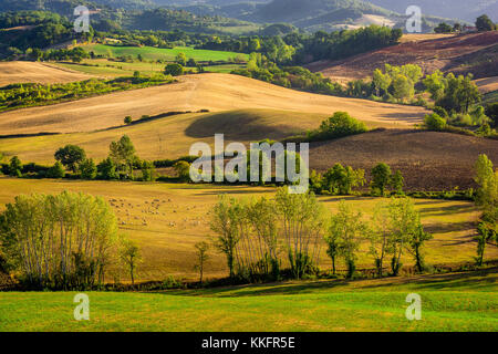 Vue magnifique sur le paysage magnifique de la toscane domaines à Barberino di Mugello, dans la région Toscane en été Banque D'Images