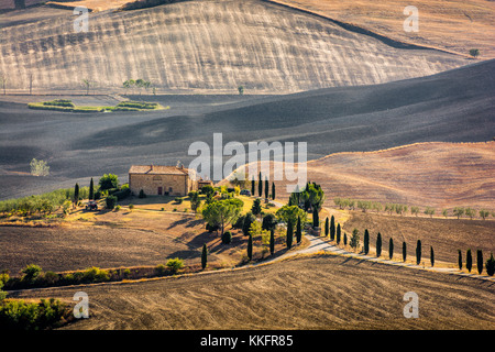 Vue magnifique sur le paysage magnifique de la toscane domaines à Barberino di Mugello, dans la région Toscane en été Banque D'Images