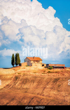 Beau paysage rural en Toscane, Italie, avec des collines et des prés Banque D'Images