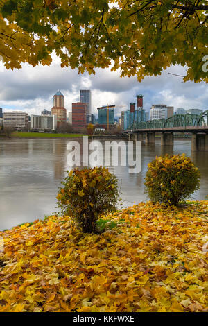 En vertu de l'érable le long de portland oregon city waterfront pendant la saison d'automne Banque D'Images