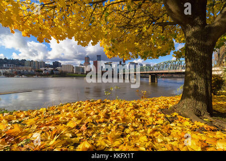 Feuillage d'automne sous l'érable avec portland oregon city skyline par hawthorne bridge le long de la rivière Willamette Banque D'Images