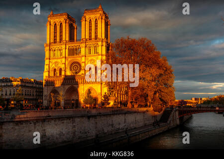 Remarque cathédrale Notre-Dame au coucher du soleil. Une soirée spectaculaire allume la façade sur un fond de nuages sombres. Banque D'Images