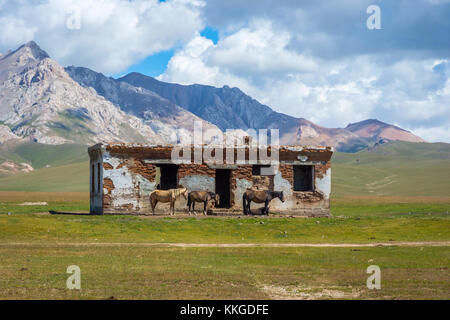 Maison abandonnée et chevaux debout devant contre le paysage de montagne, song kul, Kirghizistan Banque D'Images