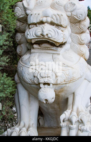 Un grand lion chinois blanc, sculpté dans une roche blanche garde l'entrée d'un temple Banque D'Images