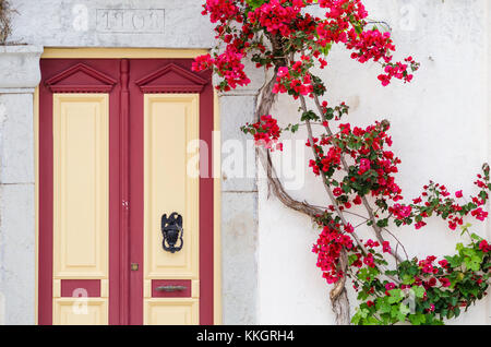 Image de l'île grecque de bougainvilliers rouges escalade une vieille maison Symiot sur l'île de Symi, Dodécanèse, Grèce Banque D'Images