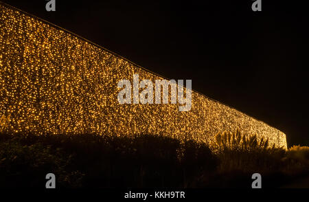 Edinburgh, Ecosse, Royaume-Uni, le 30 novembre 2017. Proche en extérieur Traînée de lumière célébrant Noël au Jardin botanique royal d'Édimbourg. Une énorme haie de hêtre recouvert de lumières scintillantes Banque D'Images