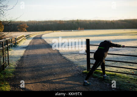Celbridge, Irlande. 06Th Dec 2017. Courir dans le parc sur le magnifique frosty matin du 1er décembre avec des températures en dessous de 0 dans le parc de Castletown à Celbridge Banque D'Images