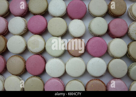 Bonbons dans une chocolaterie de la capitale belge Bruxelles, le 23 juin 2017. La Belgique est célèbre pour ses chocolats. - PAS DE SERVICE DE FIL - photo : Sascha Steinach/dpa-Zentralbild/dpa | utilisation dans le monde entier Banque D'Images