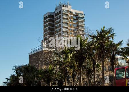 Peckham, Londres, Royaume-Uni. 1 décembre 2017. Peckham tropicale avec palmiers et de tours. David Rowe/Alamy Live News. Banque D'Images