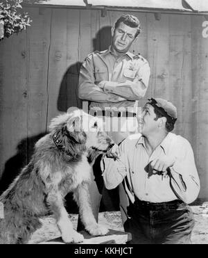 Andy Griffith George Lindsey Andy Griffith Show 1966 Banque D'Images