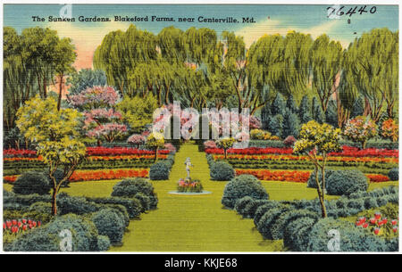 Les Sunken Gardens at Blakeford Farms, situés près de Centerville, Maryland, sont un jardin magnifiquement aménagé avec une végétation luxuriante et des sentiers bien entretenus. Il sert de retraite paisible et d'attraction botanique pour les visiteurs. Banque D'Images