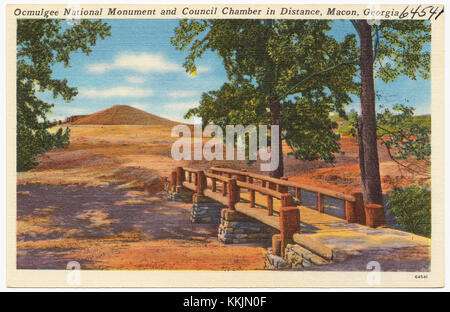 Ocmulgee National Monument and Council Chamber in distance, Macon, Géorgie (8367055913) Banque D'Images