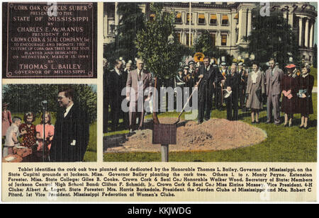 Cette tablette commémore le chêne-liège planté par le gouverneur Thomas L. Bailey sur le terrain du Capitole de l'État du Mississippi à Jackson. L'arbre sert de marqueur historique de l'événement. Banque D'Images