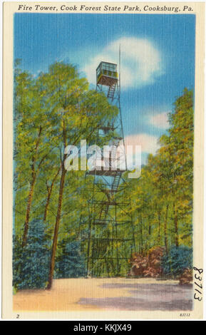 Fire Tower, parc national de Cook Forest, Cooksburg, Pennsylvanie (83713) Banque D'Images