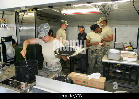 Les étudiants qui suivent le cours de soutien de 80 heures pour les soldats de la spécialité militaire 68M (spécialiste en nutrition) préparent un repas dans une cuisine conteneurisée au complexe médical du site régional d'entraînement de fort McCoy le 10 juin 2015. Les soldats du 68M exercent des fonctions diététiques de base dans un hôpital, une clinique ou un environnement de terrain. Les étudiants du cours étaient au 801st combat support Hospital à fort Sheridan, dans l'Illinois (États-Unis Photo de l'armée par Scott T. Sturkol, Bureau des affaires publiques, fort McCoy, Wisconsin) Banque D'Images