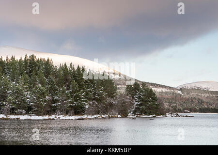 L'hiver sur le Loch Morlich dans le Parc National de Cairngorms de l'Ecosse. Banque D'Images