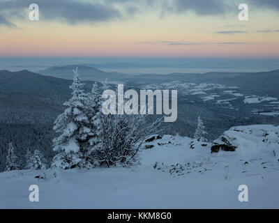 En hiver, Großer Arber, Bavaria, Germany, Banque D'Images