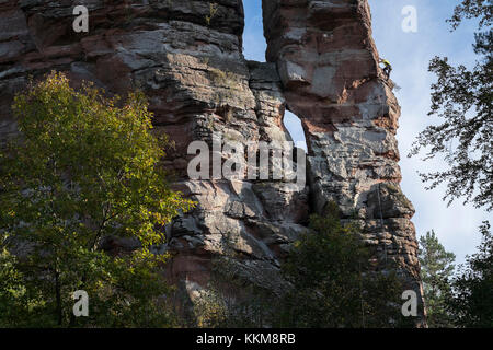 Scène d'escalade au bord de la pk, hochsteinnadel dahner felsenland, forêt palatine, Rhénanie-Palatinat, Allemagne, Banque D'Images