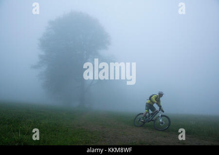 Vélo de montagne près de la forêt-noire, utzenfeld, Bade-Wurtemberg, Allemagne Banque D'Images