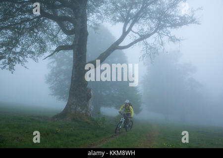 Vélo de montagne près de la forêt-noire, utzenfeld, Bade-Wurtemberg, Allemagne Banque D'Images