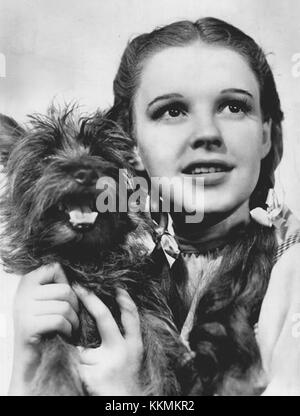 Une image promotionnelle de *The Wizard of Oz* mettant en vedette Judy Garland dans le rôle de Dorothy, capturant une scène du film classique de 1939 qui est devenu une partie emblématique du cinéma américain. Banque D'Images
