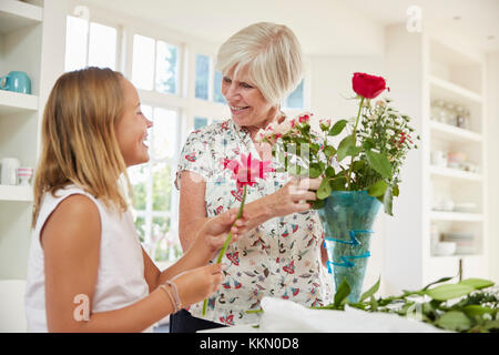 Senior woman arranging flowers avec sa petite-fille à la maison Banque D'Images