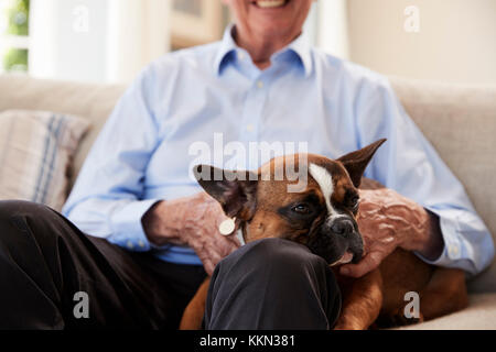 Senior Man Sitting on Sofa At Home With Pet Bouledogue Français Banque D'Images