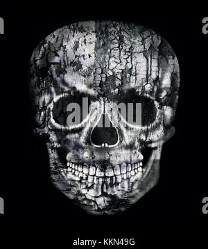 Image gothique d'un crâne humain en noir et blanc isolé sur fond noir Banque D'Images