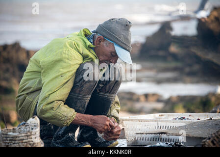 Essaouria, Maroc - septembre 2017 : pêcheur préparant des appâts tôt le matin Banque D'Images