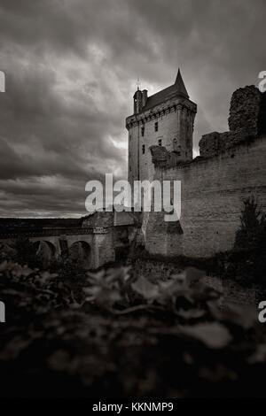 Le site du patrimoine mondial de l'historique de Chinon, sur la Vienne, dans la vallée de la Loire, Indre et Loire, France. Banque D'Images