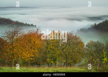 Brouillard matinal au-dessus de la vallée de Saale, Leuchtenburg, Seitenroda, Kahla, Thuringe, Allemagne Banque D'Images