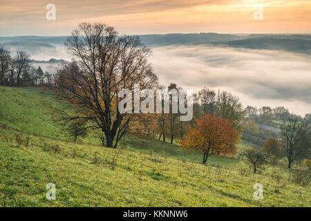 Brouillard matinal au-dessus de la vallée de Saale, Leuchtenburg, Seitenroda, Kahla, Thuringe, Allemagne Banque D'Images