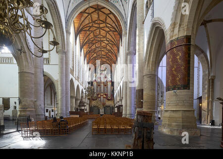 Le grand ou l'église Saint-bavon avec Mueller orgue, Haarlem, Hollande du Nord, Pays-Bas Banque D'Images