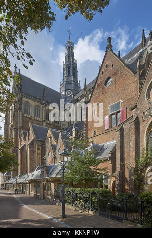 Le grand ou l'Église Saint-bavon, Haarlem, Hollande du Nord, Pays-Bas Banque D'Images