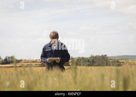 Agriculteur utilisant une tablette numérique sur le terrain Banque D'Images