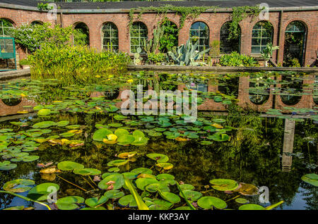 Les jardins de Villa Taranto à Verbania sont connus dans le monde entier pour leur grande beauté et le grand nombre d'espèces de plantes qu'ils contiennent Banque D'Images