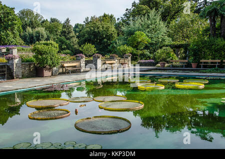 Les jardins de Villa Taranto à Verbania sont connus dans le monde entier pour leur grande beauté et le grand nombre d'espèces de plantes qu'ils contiennent Banque D'Images