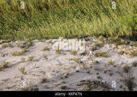 Big Bend National Park, Texas - les randonneurs sur le rio grande village nature trail. Banque D'Images