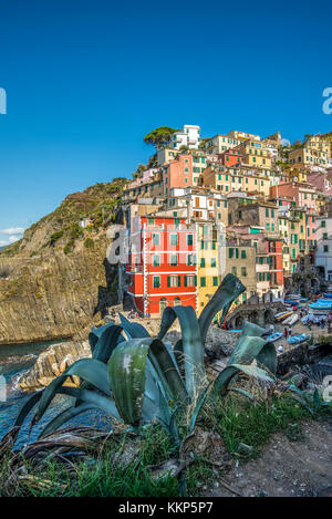 Riomaggiore, Cinque Terre, ligurie, italie Banque D'Images