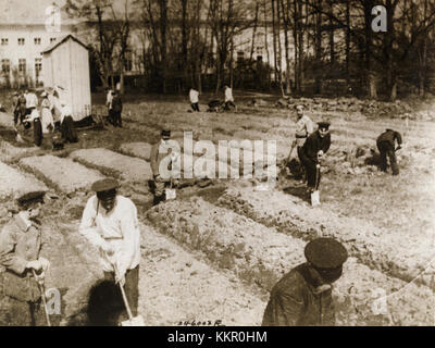 L'image intitulée « le tsar défunt et sa famille travaillant dans le jardin pendant l'internement à Tsarskoe Selo 1917 » montre l'ancienne famille royale russe pendant leur captivité. Il les représente dans un cadre domestique, travaillant ensemble dans le jardin, un moment intime pendant leur internement. Banque D'Images