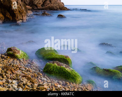 Des roches couvertes d'algues en bord de mer Banque D'Images