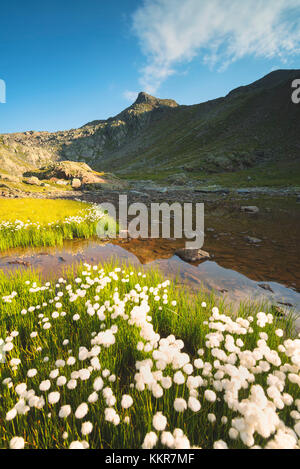 Pietrarossa Lake dans le parc national de Stelvio, Vallée Canè, district de Lombardie, Italie, Europe. Banque D'Images