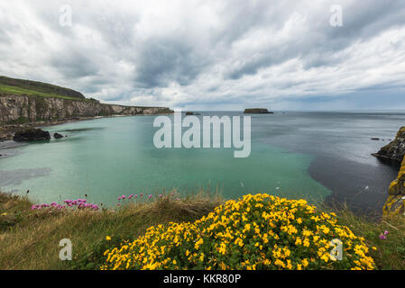 Le carrick a rede, Irlande du Nord, d'Antrim, Ballycastle, ballintoy, Royaume-Uni. Banque D'Images