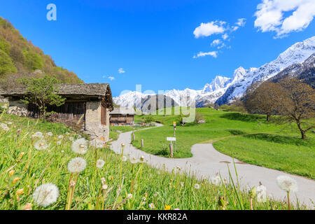 Abris dans la verte vallée encadrée par des sommets enneigés Soglio Maloja canton des Grisons Bregaglia Engadin Valley Suisse Europe Banque D'Images