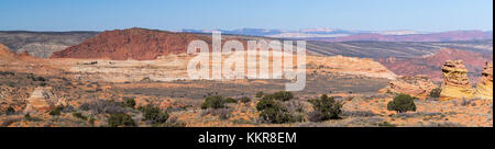 Image panoramique de la région éloignée du sud connue sous le nom de coyote buttes, paria plateau, Vermilion Cliffs National Monument, Arizona, USA. Banque D'Images