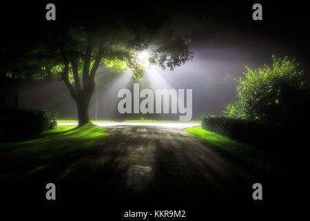 Le brouillard à l'avant d'une rue latern Banque D'Images