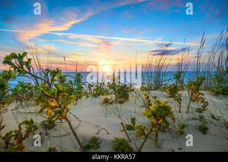 Coucher du soleil sur une plage près de gammel skagen Banque D'Images