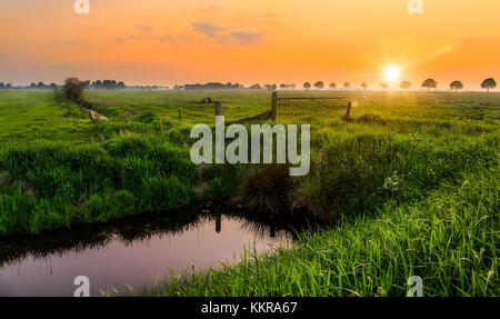 Coucher de soleil sur une prairie près de l'weener Banque D'Images